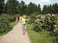 Ботанический сад Гришко, Киев